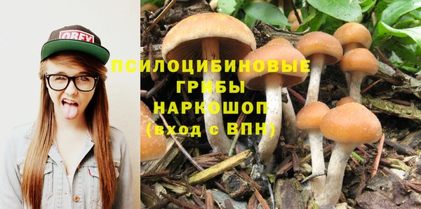 мескалин Алексин