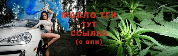 тгк Алзамай