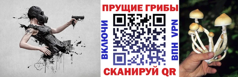 купить наркотик  Алапаевск  Псилоцибиновые грибы мицелий 